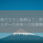 米国株でウラン銘柄は？：原子力エネルギーの未来への投資機会！